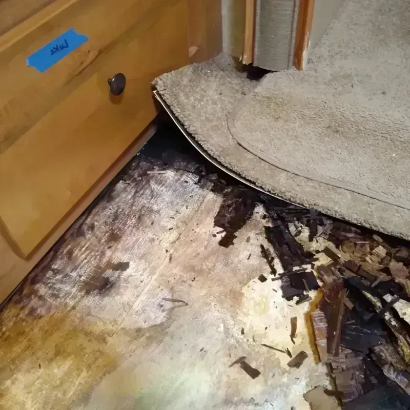 Best Wood Floor Water Damage Service in Weld County, CO